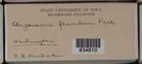 Image Associated With the Occurence
